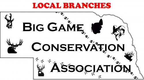 Branches